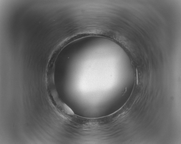 X0000072950252200608041315