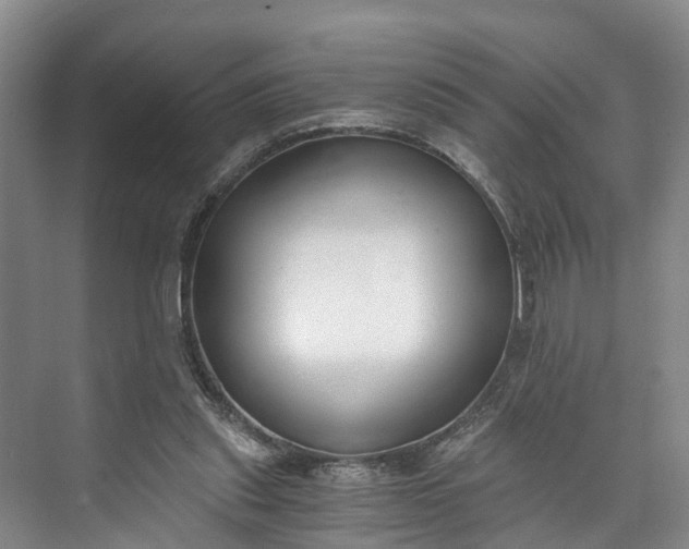 X0000072950253200608041315