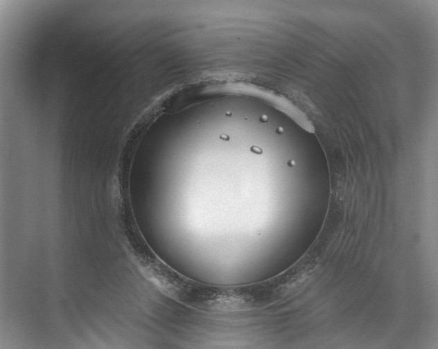 X0000072950256200608041315