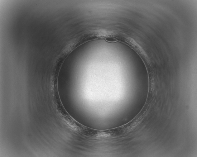 X0000072950257200608041315