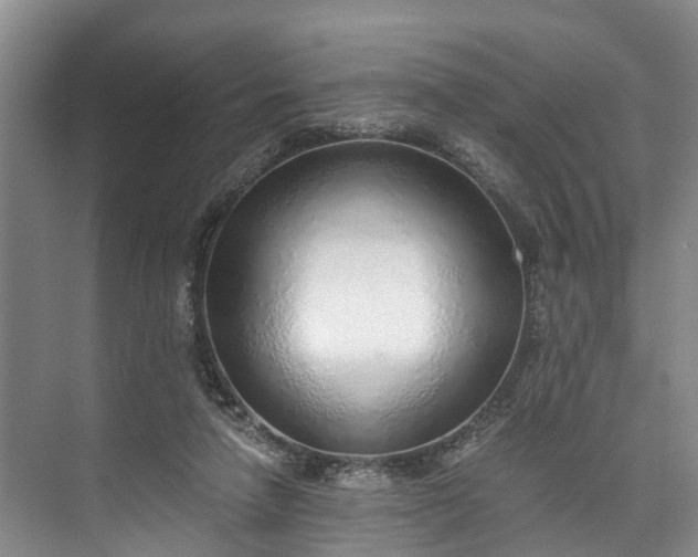 X0000072950258200608041315