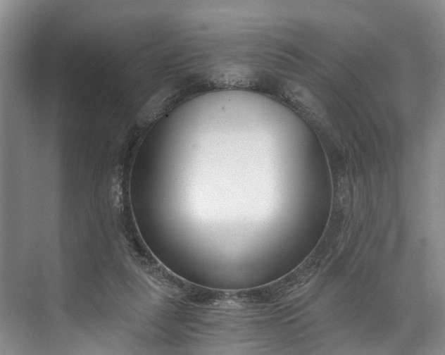 X0000072950259200608041315