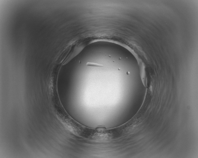 X0000072950260200608041315