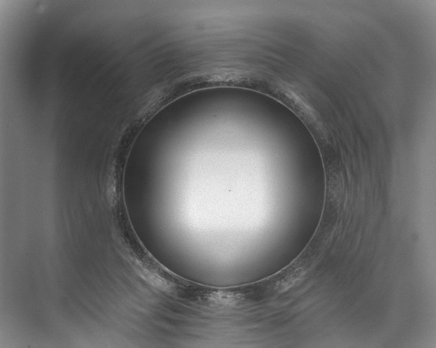 X0000072950261200608041315