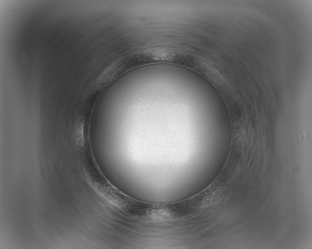 X0000072950262200608041315