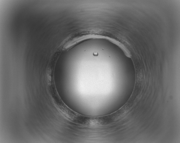 X0000072950264200608041315