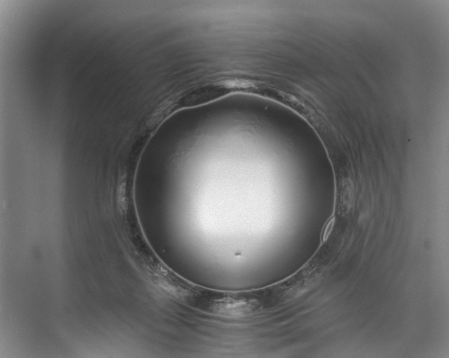 X0000072950267200608041315