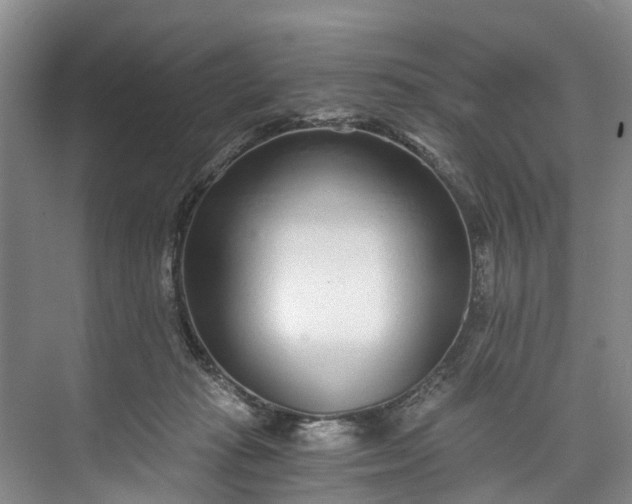 X0000072950269200608041315