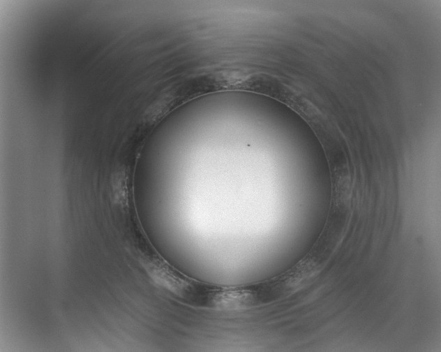 X0000072950274200608041315