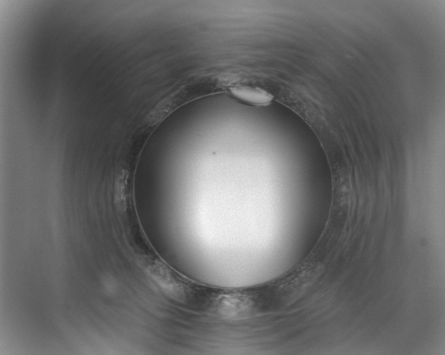 X0000072950275200608041315