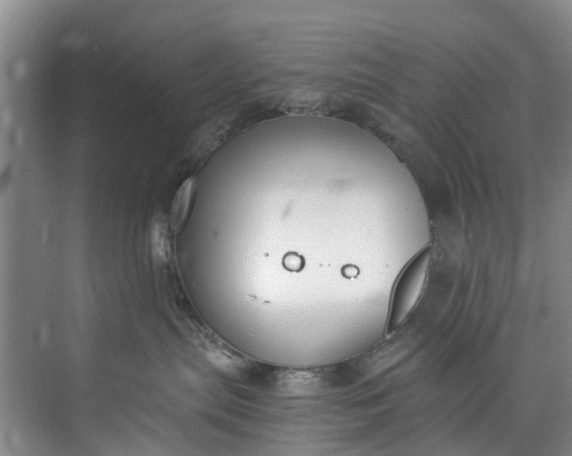 X0000072950287200608041316