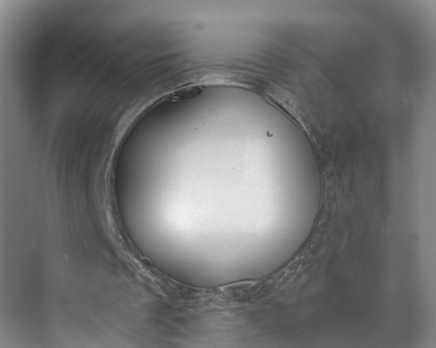 X0000072950289200608041315