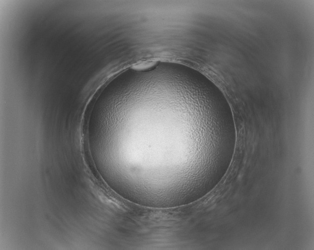 X0000072950290200608041315