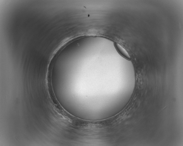 X0000072950292200608041315