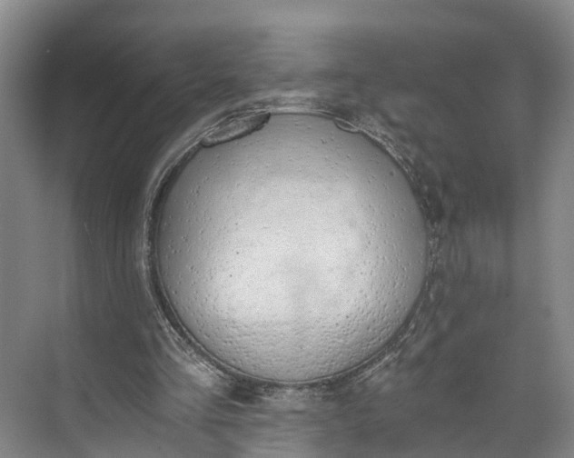 X0000072950293200608041315