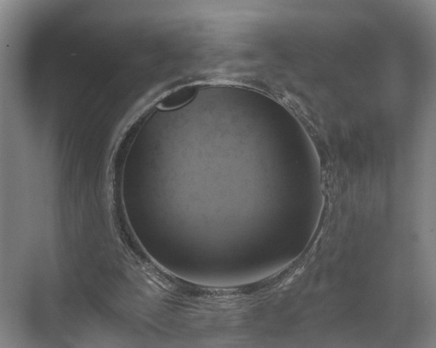 X0000072950295200608041315