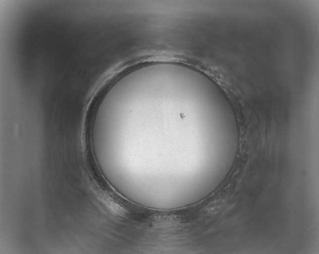 X0000072950296200608041315