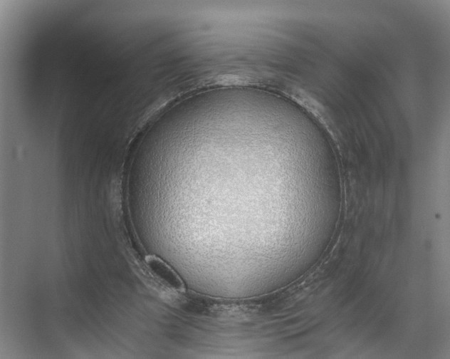 X0000072950297200608041315