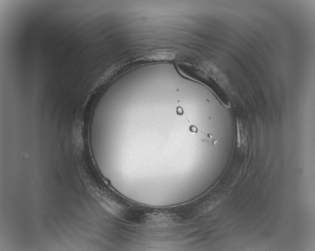 X0000072950300200608041315