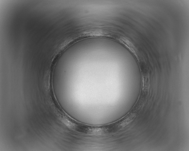 X0000072950301200608041315