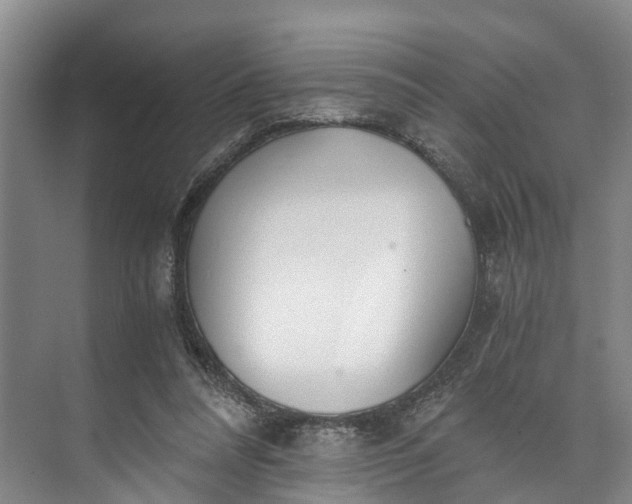 X0000072950304200608041314