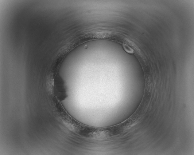 X0000072950307200608041314