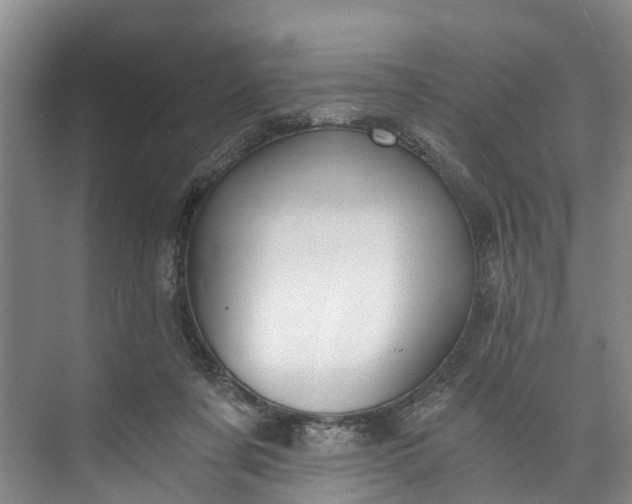 X0000072950311200608041314