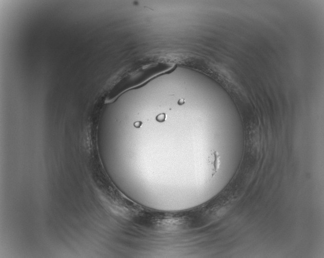 X0000072950312200608041314