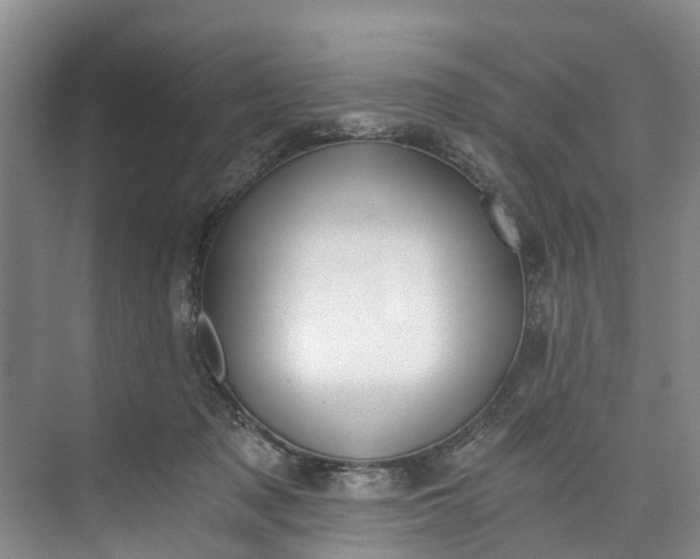 X0000072950317200608041314