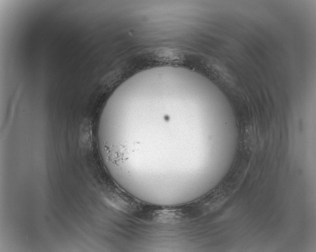 X0000072950320200608041314