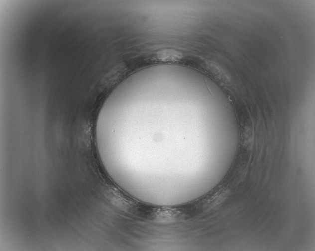 X0000072950321200608041314