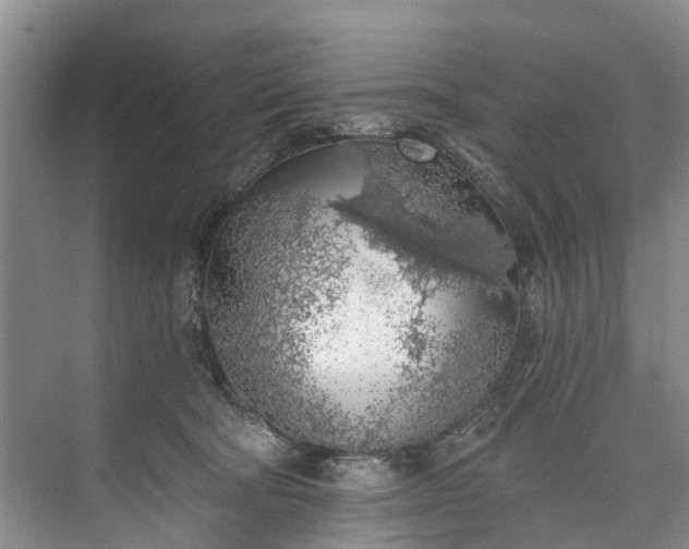 X0000072950322200608041314