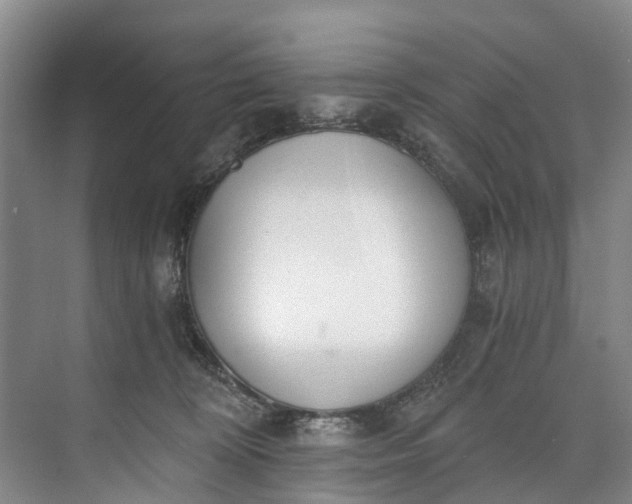 X0000072950324200608041314