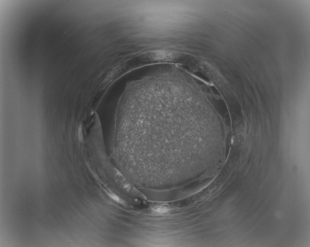 X0000072950325200608041314