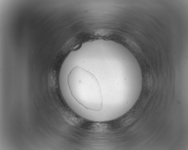 X0000072950328200608041314