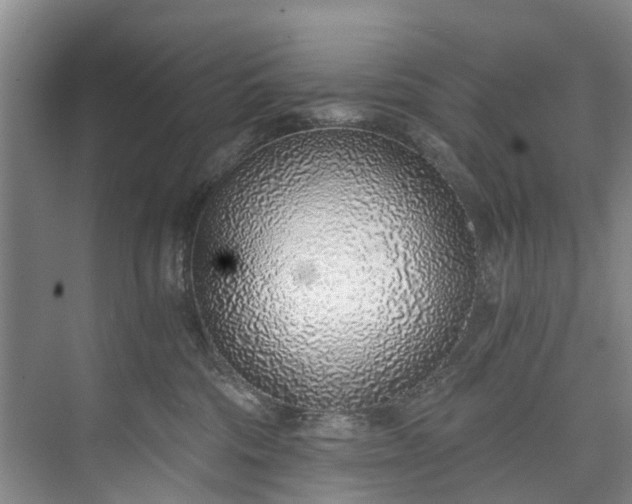 X0000072950330200608041314