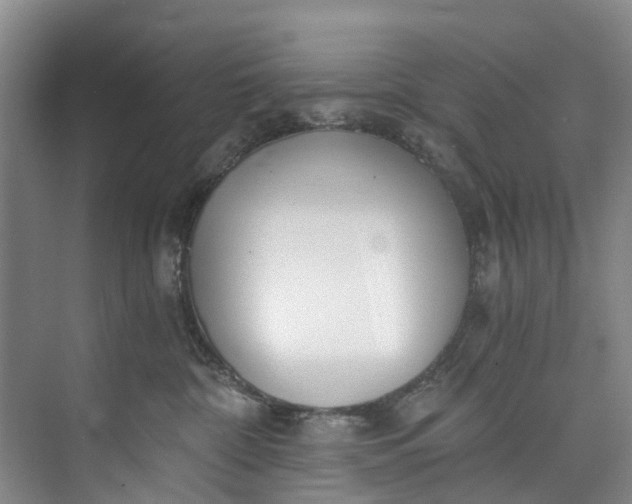 X0000072950332200608041314