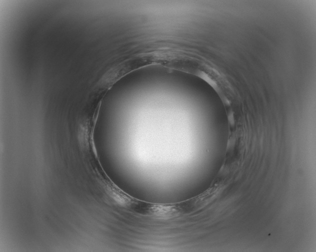 X0000072950333200608041314