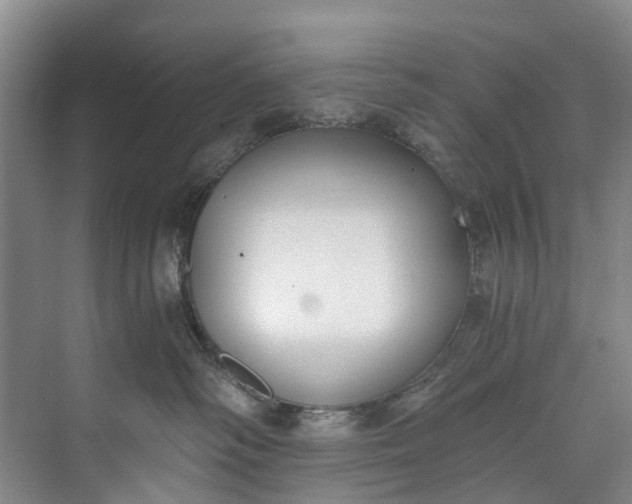 X0000072950334200608041314