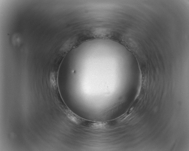 X0000072950335200608041314