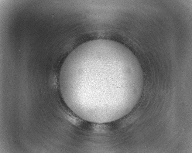 X0000072950336200608041314