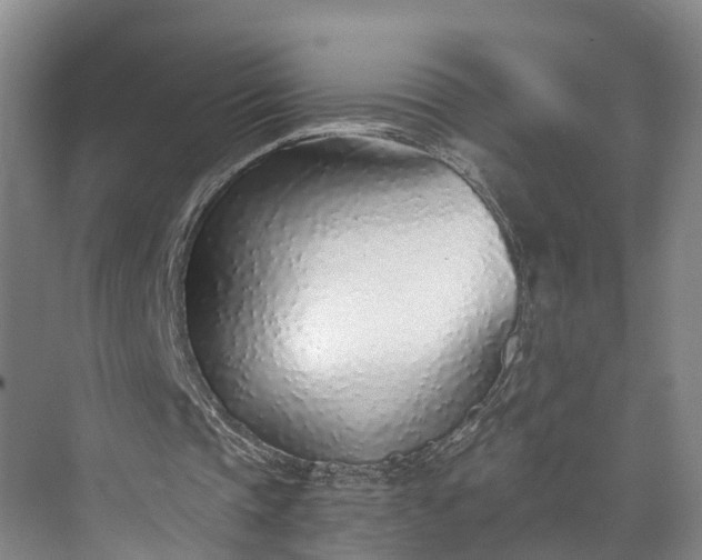 X0000072950337200608041313