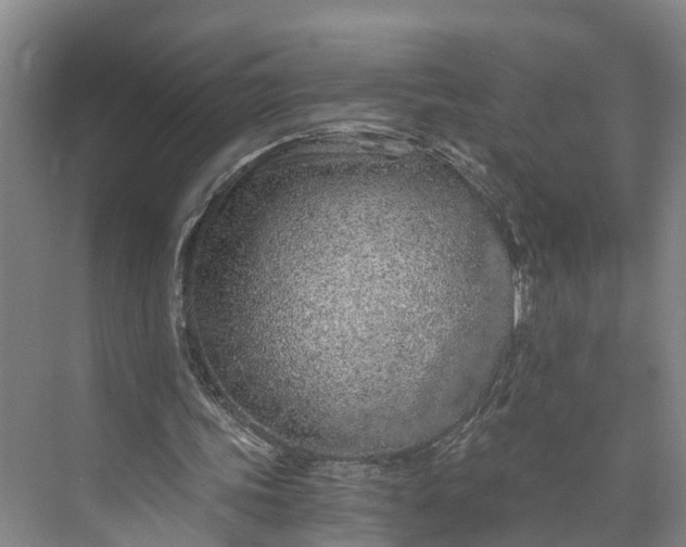 X0000072950339200608041313