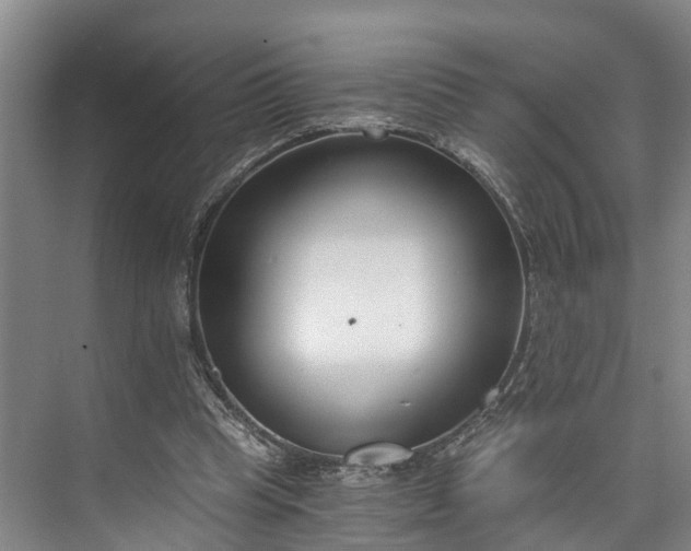 X0000072950345200608041313