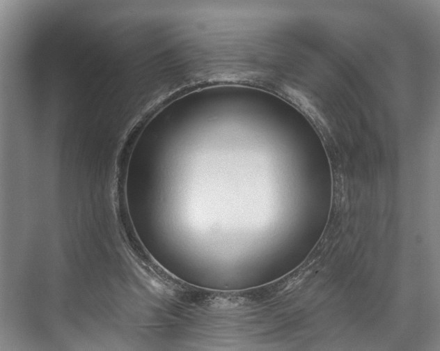 X0000072950346200608041313