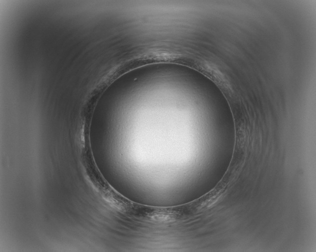 X0000072950358200608041313