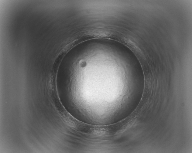 X0000072950359200608041313