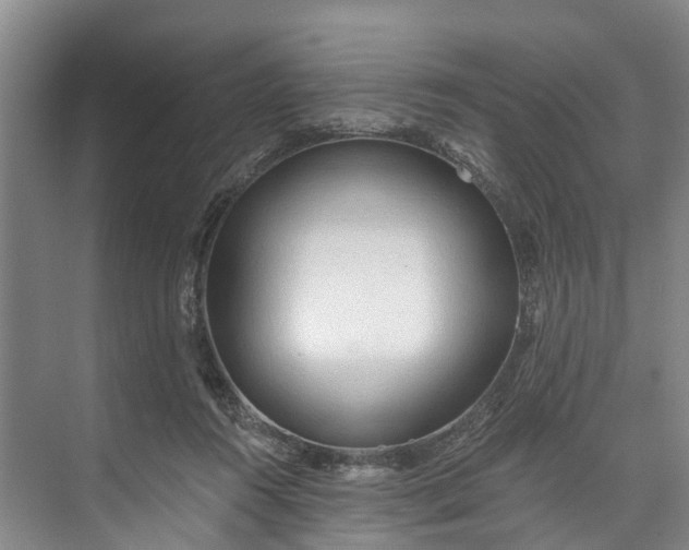 X0000072950360200608041314