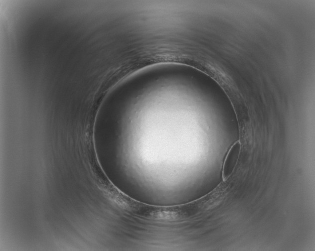 X0000072950361200608041314