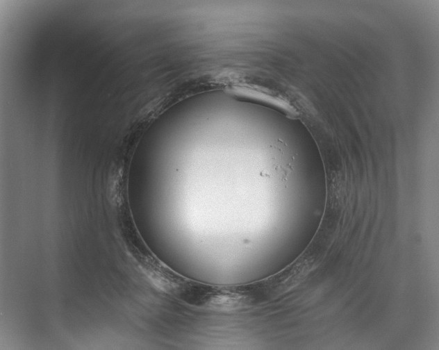 X0000072950364200608041314